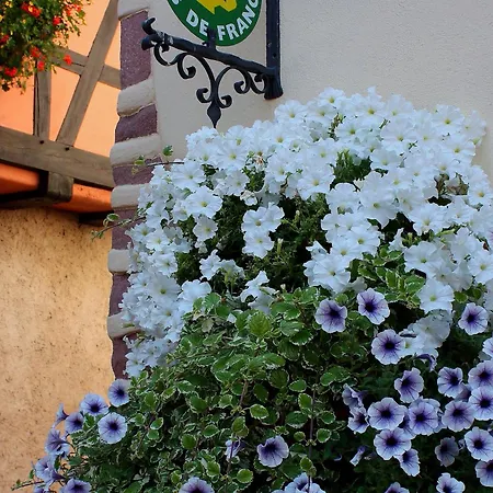 Ferienhaus Maison Alsacienne Historique Avec Parking à - Fr-1-744-23 Ammerschwihr
